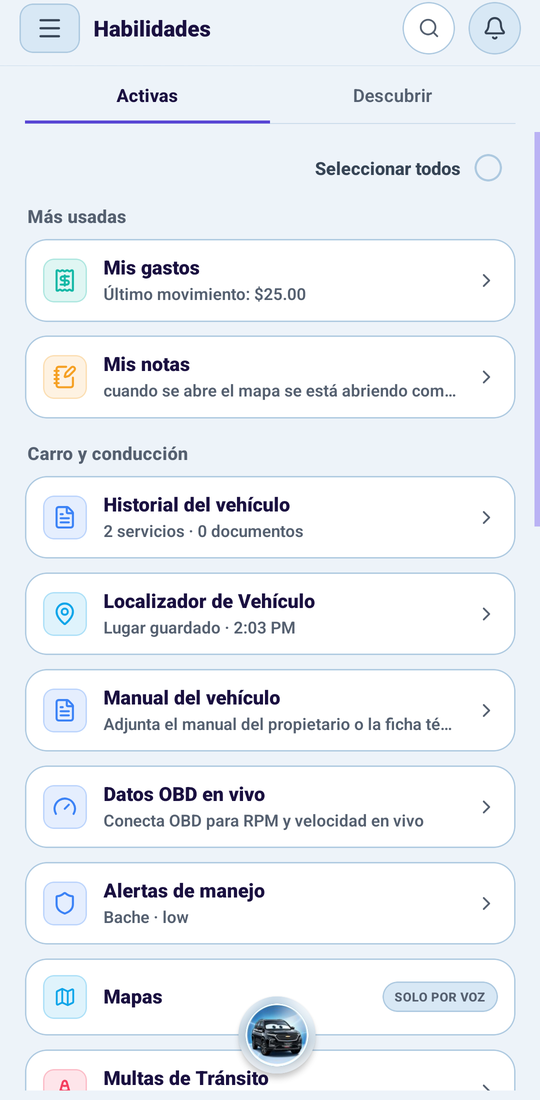Lista de skills instaladas en Ogii